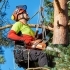 The Benefits of Hiring a Certified Arborist for Your Tree Care Needs small image